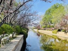 -元大都城垣遗址公园