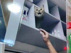 -宠颐生宠物医院外科·内科·皮肤科·影像科(石龙店)