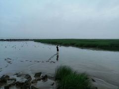 -南汇嘴观海公园