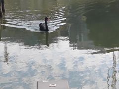 -杭州师范大学(下沙校区)