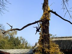 -承恩寺