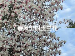 -木塔寺遗址生态公园
