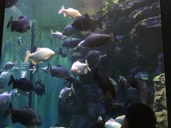 -成都浩海立方海洋公园