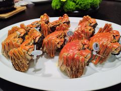 -宝丽轩中餐厅BAOLIXUAN