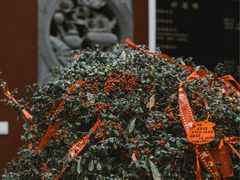-长春观