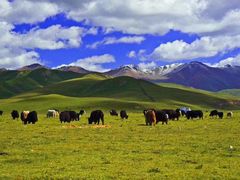 -青海湖国家重点风景名胜区