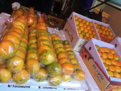 -龙头岩(Dragon Head Rock)