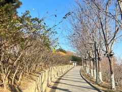 -河北省园博园