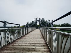 -西青郊野公园