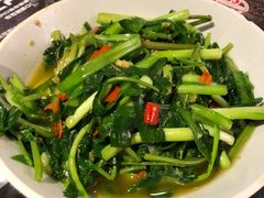 -壹盏灯(惠农店)