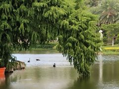 教室-厦门大学(思明校区)