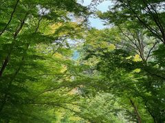 -醍醐寺