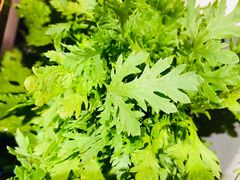 茼蒿-麻路成都火锅(柏威年店)