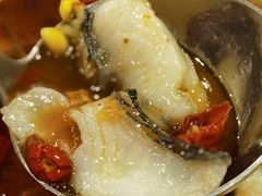 -蜀腾川·火锅鱼.烤鱼(新世界城店)