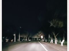 -丁香湖公园
