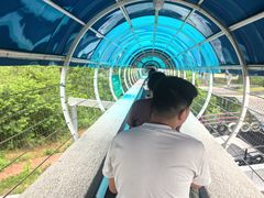-盈香心动乐园