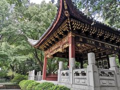 -汇龙潭