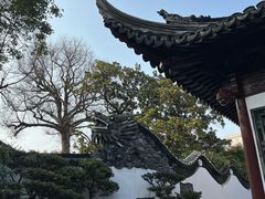 -豫园