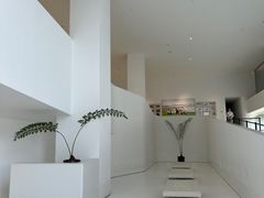 -罗红摄影艺术馆