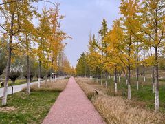 -汉长安城未央宫国家考古遗址公园