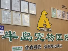 -半岛宠物医院24小时·内窥镜·牙科·碎石中心(府城大道店)