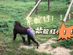 -杭州野生动物世界