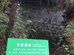 -百杖潭景区