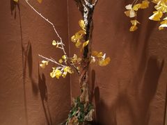 -京华烟云·北京烤鸭(领展购物广场·中关村店)