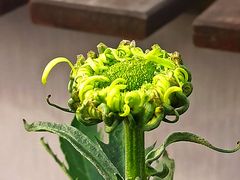 -共青国家森林公园-售票处