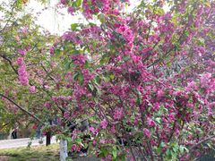 -元大都城垣遗址公园