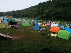 -武陵山森林公园