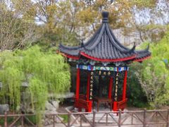 -南汇桃花村