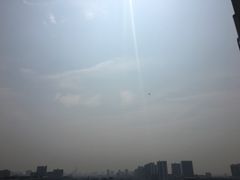 -沙湾姜埋奶(兴新包店)