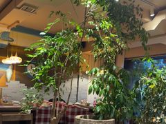 -慢丽江·云南野生菌土鸡锅(付家庄店)