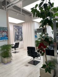 -Hair  Gallery