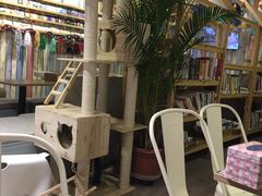 -小时光咖啡馆(开森度假森林店)