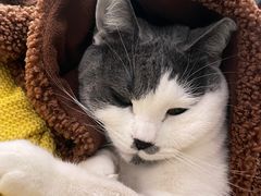 -北京恒爱动物医院(清景园分院)