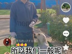 -宠物寄养训练学校
