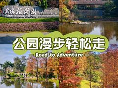 -云溪植物园