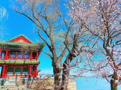 -颐和园