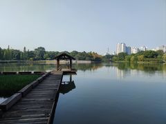 -圩墩遗址公园