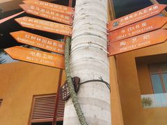 -三亚湾红树林度假世界(木棉酒店)