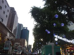 -新加坡文华东方酒店