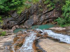 -广州白江湖森林公园