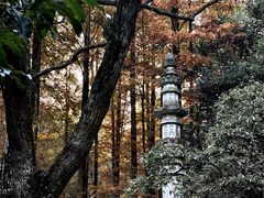 -虎跑公园