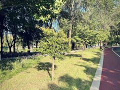 -兰陵国家农业公园