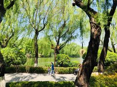 -鹊华居·地道鲁菜·海鲜·融合味(大明湖店)