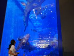 -成都浩海立方海洋公园