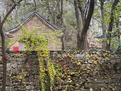 -井塘古村