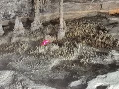 -雪玉洞景区